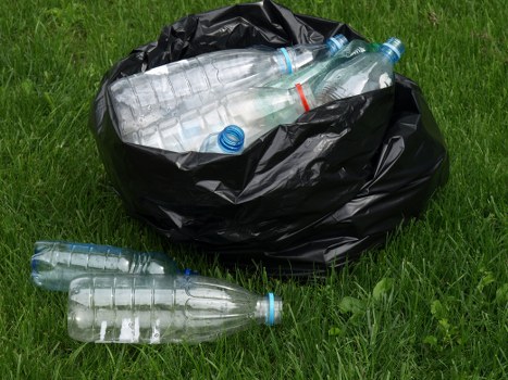 Professional waste management team in Kingston